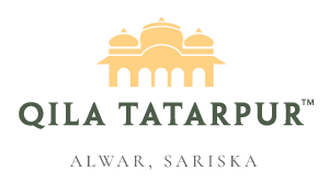 Qila Tatarpur Logo